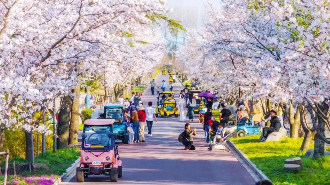 宇通上新季丨大運力超能巴士助力旅游經(jīng)濟一路“繁花”